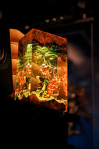 Ace Resin Lamp | Handmade LED OnePiece | Lumiverse Resin